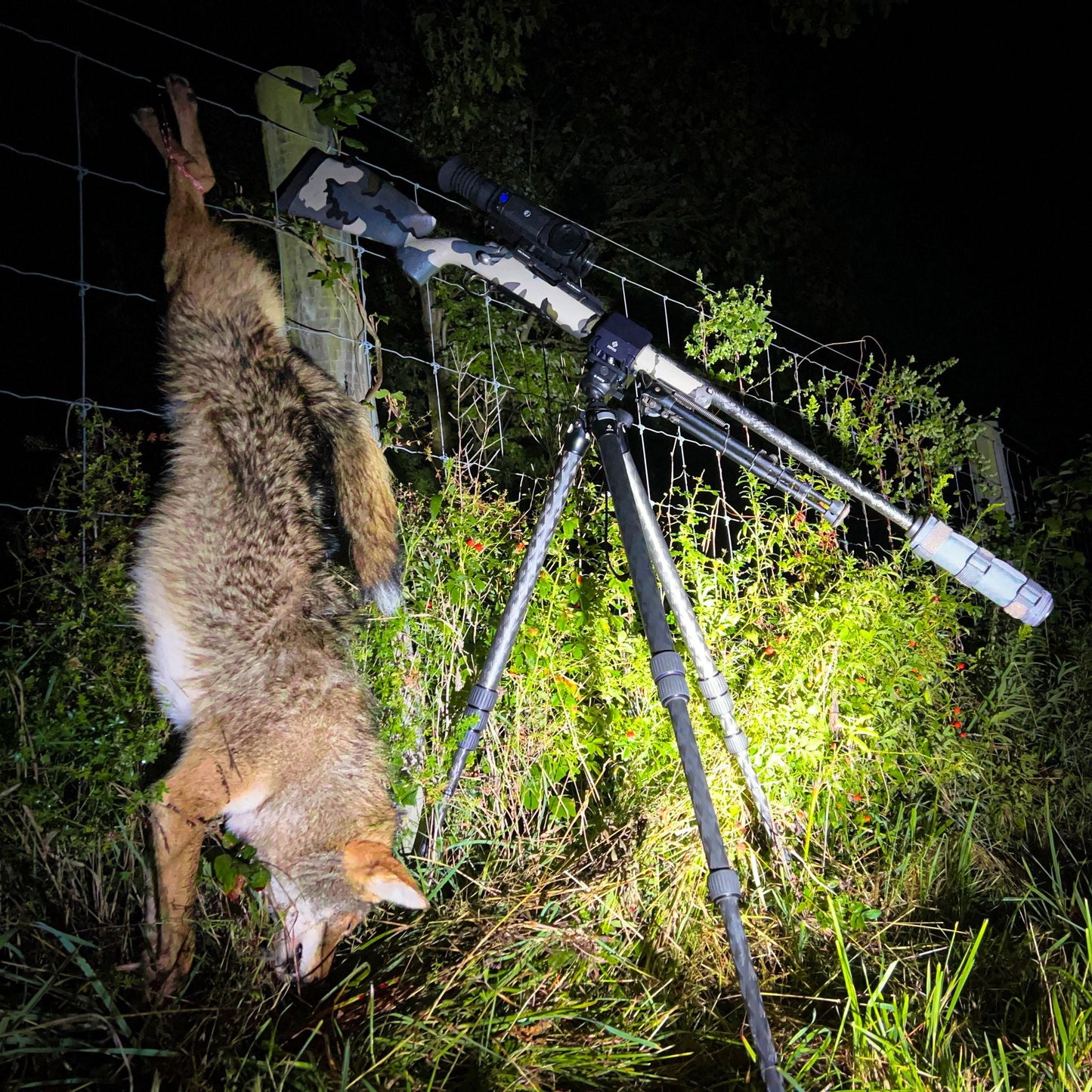 Predator Exclusives :: Little Lifter Drag Rope