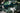 RIX Optics :: TOURER T50 4K Digital Night Vision Scope